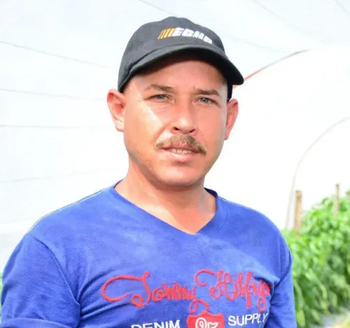david_copiar-704x660.webp